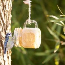 Erdnussbutter im Becherglas für Wildvögel