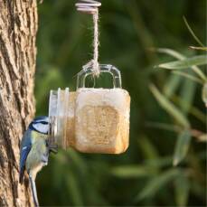 Erdnussbutter im Becherglas für Wildvögel