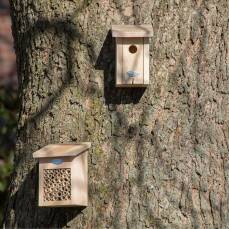 Bienenhaus inkl. Bürste