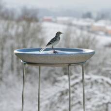 Vogeltränke Granicium mit Ständer