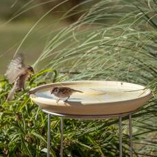 Vogeltränke CeraNatur mit Ständer